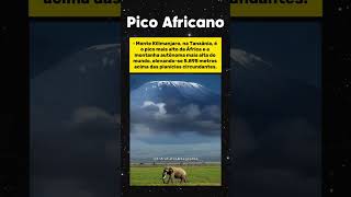 Escalando o Kilimanjaro: Do Equador ao Ártico em Uma Semana!