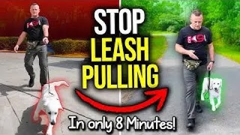 Hoe je DIRECT kunt stoppen met trekken aan de lijn!