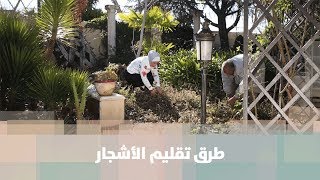 طرق تقليم الأشجار - م. أمل القيمري - دنيا زراعة