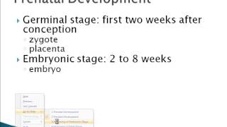 Psychology 101: Prenatal Development