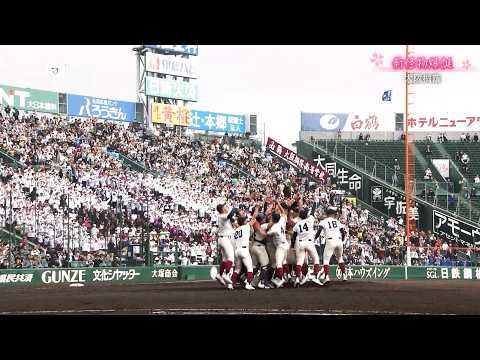 第98回センバツ総集編  ”みんなが絶対的主人公”