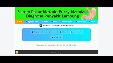 APLIKASI WEB SISTEM PAKAR METODE FUZZY MAMDANI DIAGNOSA PENYAKIT PADA LAMBUNG