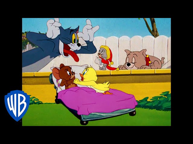 Tom & Jerry | Who is the Cutest? | Classic Cartoon Compilation | WB Kids class=