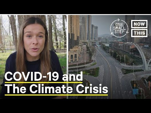 How the COVID-19 Pandemic is Impacting the Environment | One Small Step | Now This'll #space #shorts How the COVID-19 Pandemic is Impacting the Environment | One Small Step | Now This'll #space #shorts