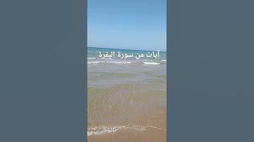 سورة البقرة Surah Al-Baqarah | قرٱن كريم | #المصحف  #قرآن #اكسبلور