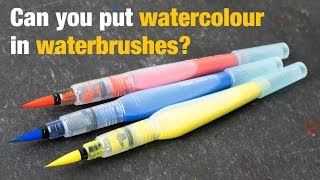 Can you put watercolour paint in waterbrushes?