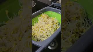 shorts Korean Soy Bean Sprout Banchan Recipe