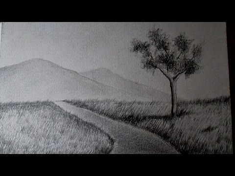 Video: Cómo Dibujar Hierba Con Un Lápiz