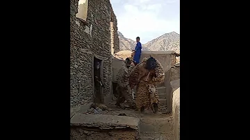 واو هدا هو بوجلود الحقيقي 