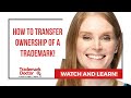 How to Transfer Ownership of a Trademark! | Trademark Attorney Angela Langlotz Explains