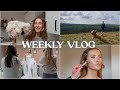 Weekly vlog  decorating dilemmas lots of makeup therapy  a very fun shoot