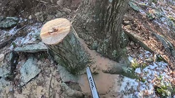 First video with the GoPro Hero 11 (unedited)