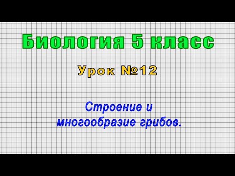 Биология 5 класс (Урок№12 - Строение и многообразие грибов.)