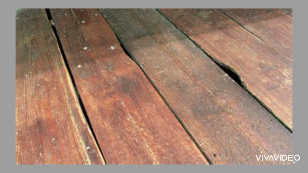 Wood creaking sound effect ASMR YouTube