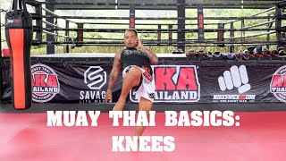 Muay Thai Basics: Knees - AKA Techniques