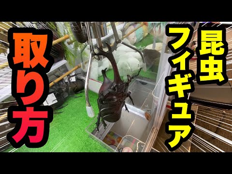 攻略 カブトムシやクワガタのフィギュアを乱獲して大量ゲット
