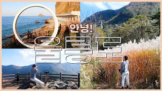 내가 울릉도에 가다니....🛳| 울릉도 택시투어 | 독도새우 🦐| 나리분지 트래킹