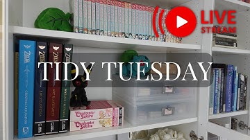 Tidy Tuesday: Organize With Me LIVE (Accountability Buddy Hangout)