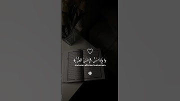 ارح سمعك مع اجمل تلاوة🤍🎧 للقارئ #عبدالرحمن_مسعد #قرآن_کریم #quran #تلاوة_هادئة #أرح_سمعك