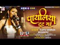   vijeta goswami payaliya tut gai hindi song