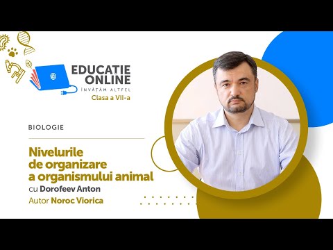 Video: Care sunt nivelurile de organizare biologică?