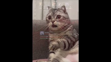 “Arms Race in CS2 Be Like… 😂🔥 #Shorts” #cs2 #csgo #armsrace