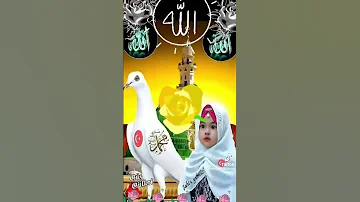 اللهم استرنا فوق الارض وتحت الارض ويوم العرض عليه 