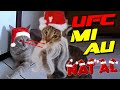 BRIGAS DE GATOS ENGRAÇADOS 14 - ESPECIAL DE NATAL