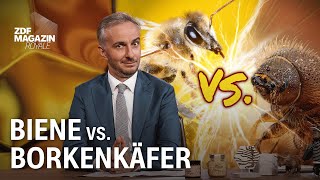 Image-Kampagnen im Tierreich | ZDF Magazin Royale