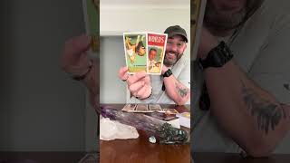 видео: Ты была приманкой! 🪝🐠🐟🐡 Этот человек и его злобный отвратительный клуб — конец! Навсегда! 💀👺🪦! Ты... картинка: Ты была приманкой! 🪝🐠🐟🐡 Этот человек и его злобный отвратительный клуб — конец! Навсегда! 💀👺🪦! Ты...