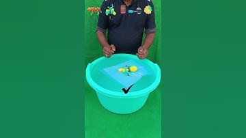 TRY TO GUESS HOW MANY TISSUE PAPER IT TOOKS!-82 #asmrvideo #satisfying #water #experiment