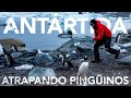 NatGeo Antártida – Detrás de Cámaras del Fotógrafo Sergio Izquierdo