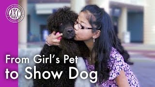 From Girl's Pet to Show Dog