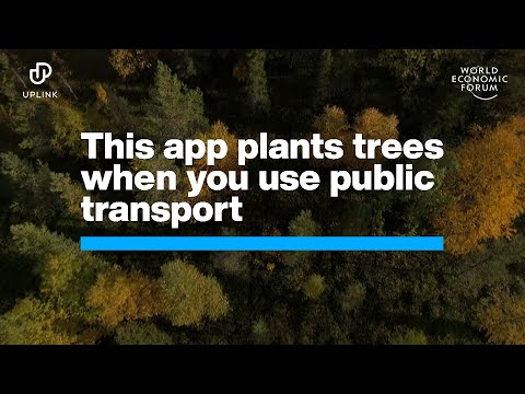 This App Plants Trees When You Use Public Transport | Uplink | World Economic Forum