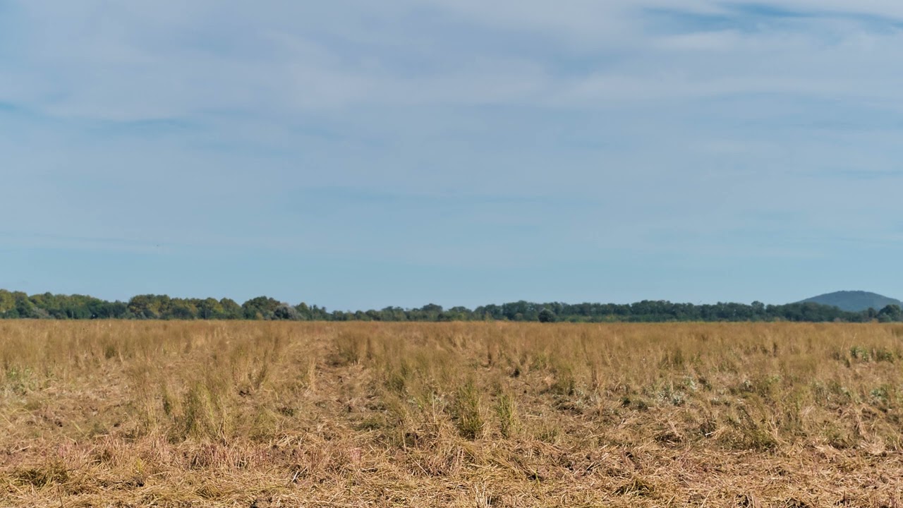 AINDA QUE... MESMO QUE... NADA ACONTEÇA. - Por Marcia Marzano