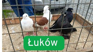 Ayollar qamoqxonasida toliq metrajli porno Viktoriya Chernisheva bilan porno