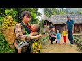 Single motherpicking lychees to sell  grandfather built a flower bed in the garden  joy every day