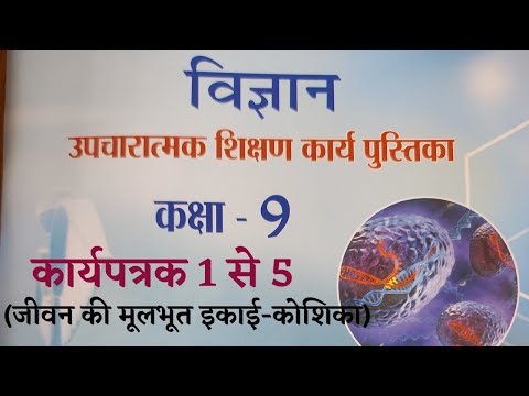 वीडियो: कानूनी संस्थाओं के बीच नकद निपटान क्या नियंत्रित करता है और कैसे लागू किया जाता है