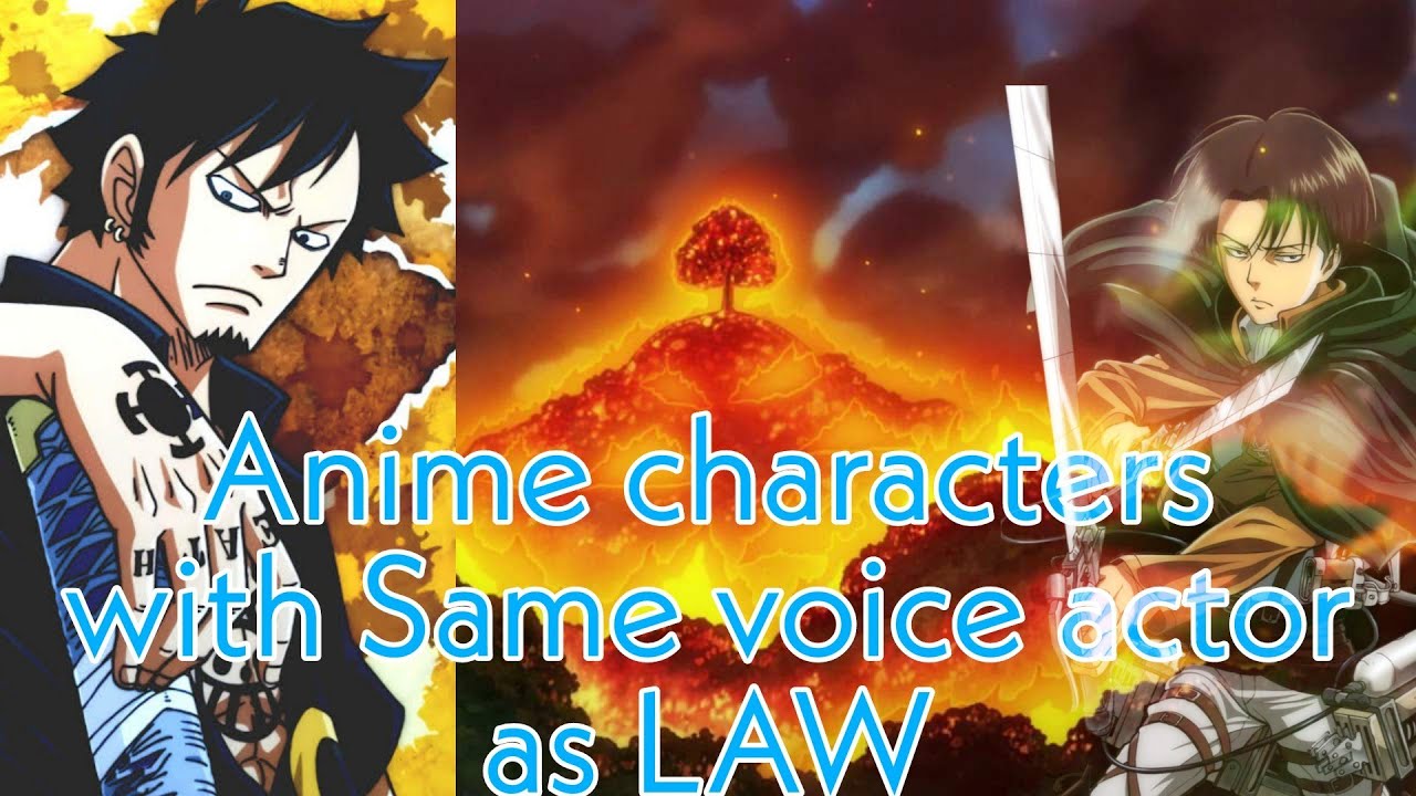 Loved learning that these character pairs share the same voice actor! : r/ OnePiece