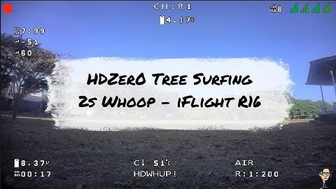 HDZero Tree Surfin - iFlight Protek r16