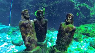 Scuba Diving at Silver Springs, Florida