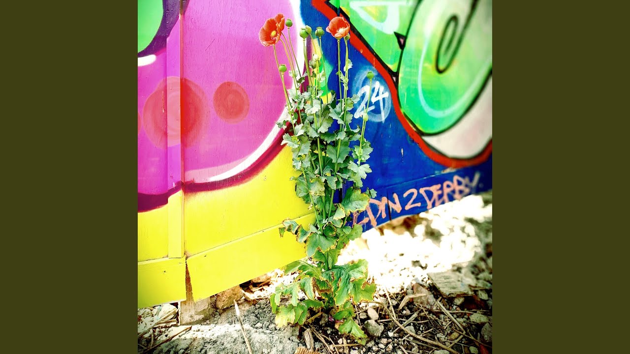 Ascending the Darkness