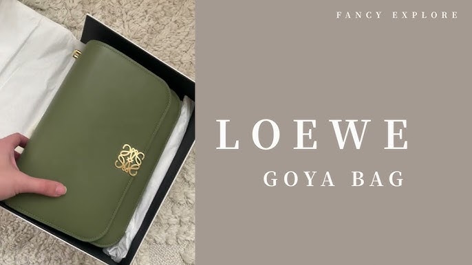 Loewe Luxury Goya Accordion Clutch In Silk Calfskin For Women in Brown