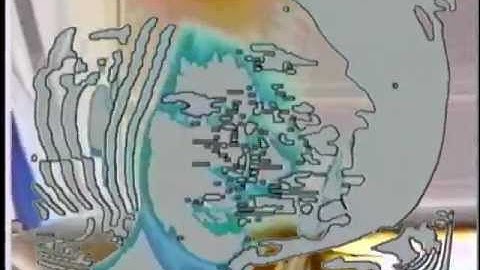 Slugbug - Linear Narrative