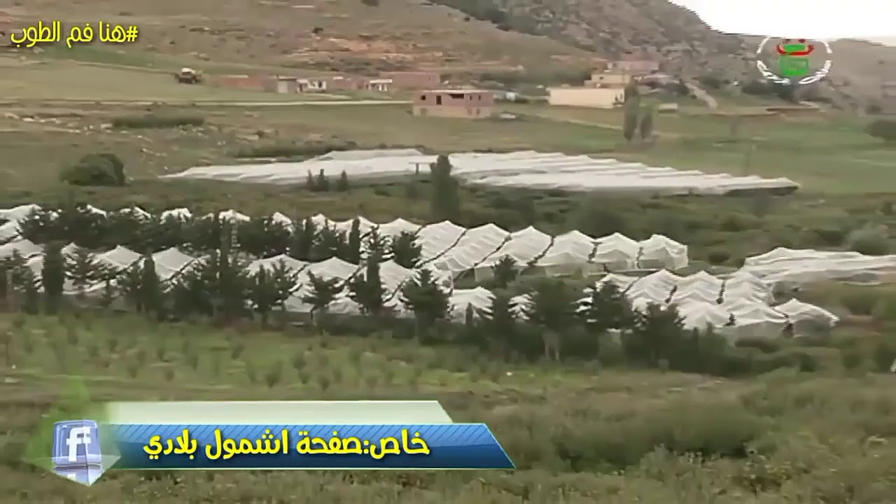 شاهد روبورتاج عن منطقة (تيبكاوين )فم الطوب عن منتوج التفاح لسنة 2018