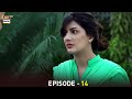 Kabhi Kabhi Episode 14 Ahsan Khan Mehwish Hayat ARY Digital Kabhi Kabhi Episode 14 Ahsan Khan Mehwish Hayat ARY Digital