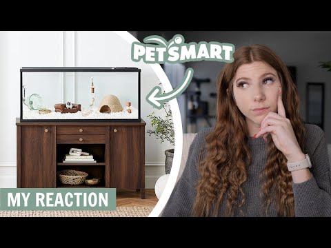 Vidéo: Petsmart vend-il des souris nourricières ?