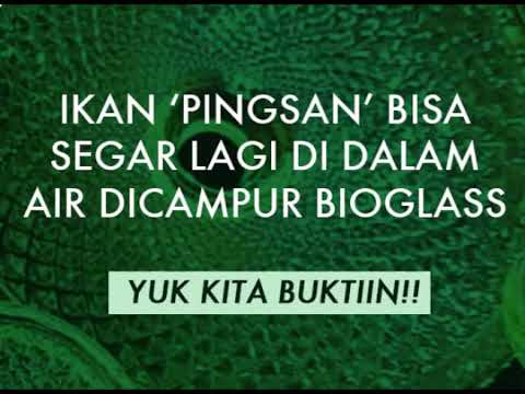 Kalung Kesehatan Mci Bohong? Ternyata Ini Manfaat Gelang Bioglass Mini