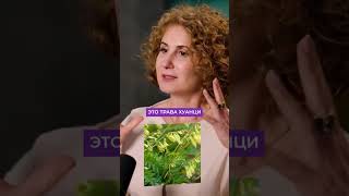 АСТРАГАЛ-Продление Жизни. Эрсаг.