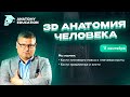 3D Анатомия для студентов. Кости плечевого пояса и плечевая кость. Кости предплечья и кисти